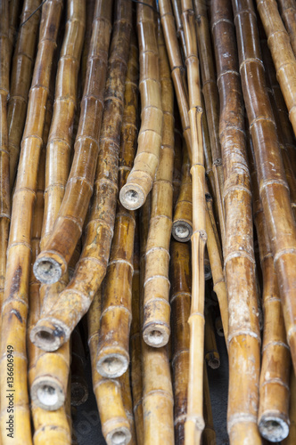 Palos de Bambú