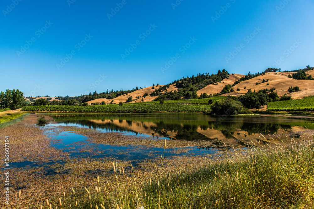 winery resevoir winery resevoir