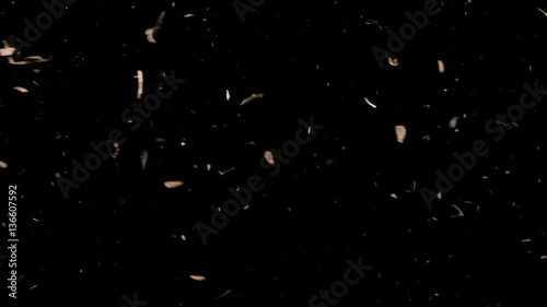 Falling Debris In Slow Motion