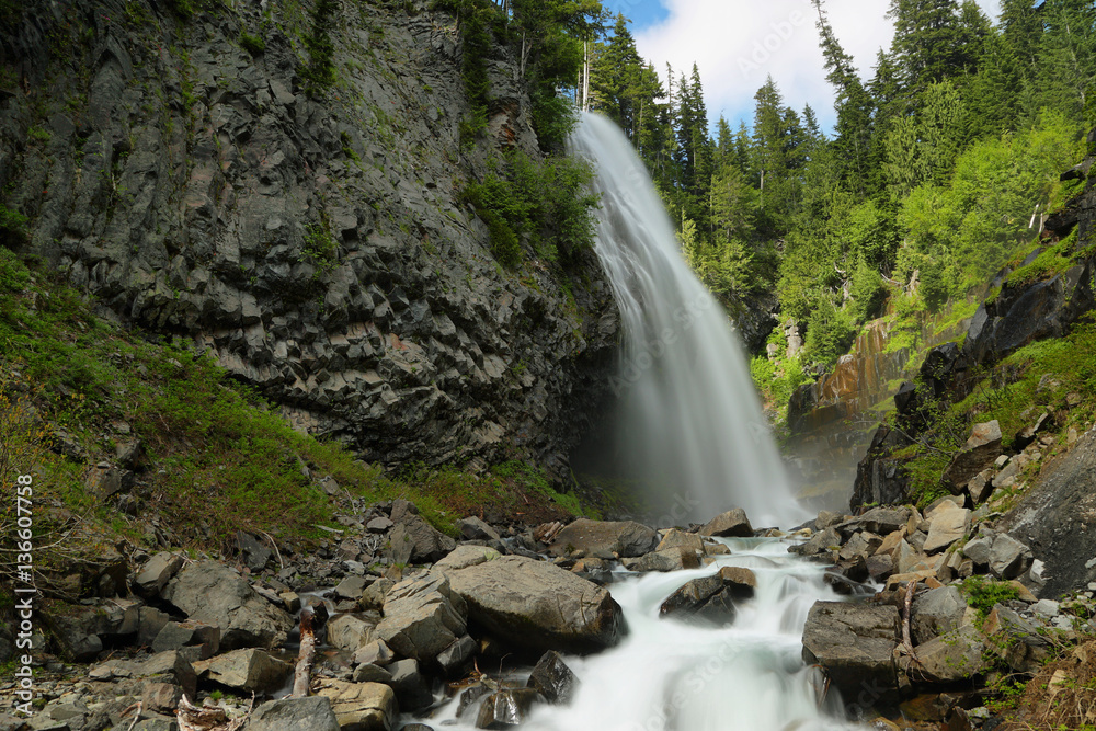 Fototapeta premium Narada Falls at Mt. Rainier National Park