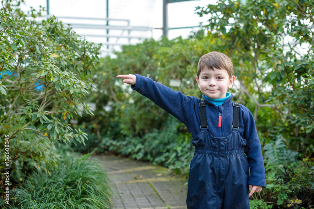 boy kid at the greenhouse with a lot of plants. azalea winter ga - obrazy, fototapety, plakaty 