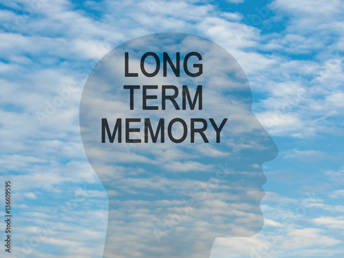 Words Long Term Memory On Transparent Head Silhouette Against A Blue Cloudy Sky, illustration