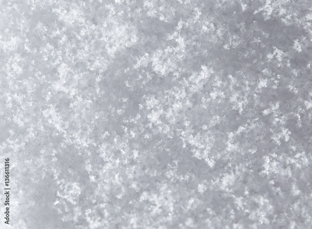 snow as a backdrop. macro snow as a backdrop. macro