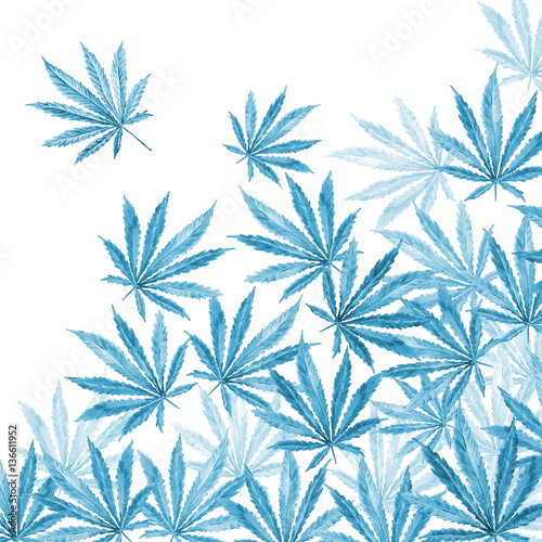 Crowd of Cannabis leaves on white background