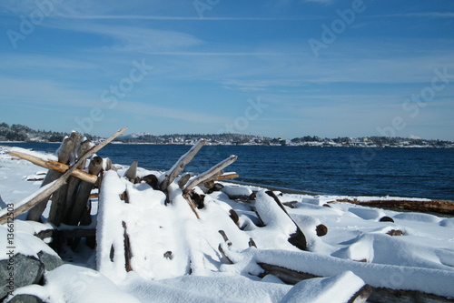 Driftwood Fort Covered in Snow photo