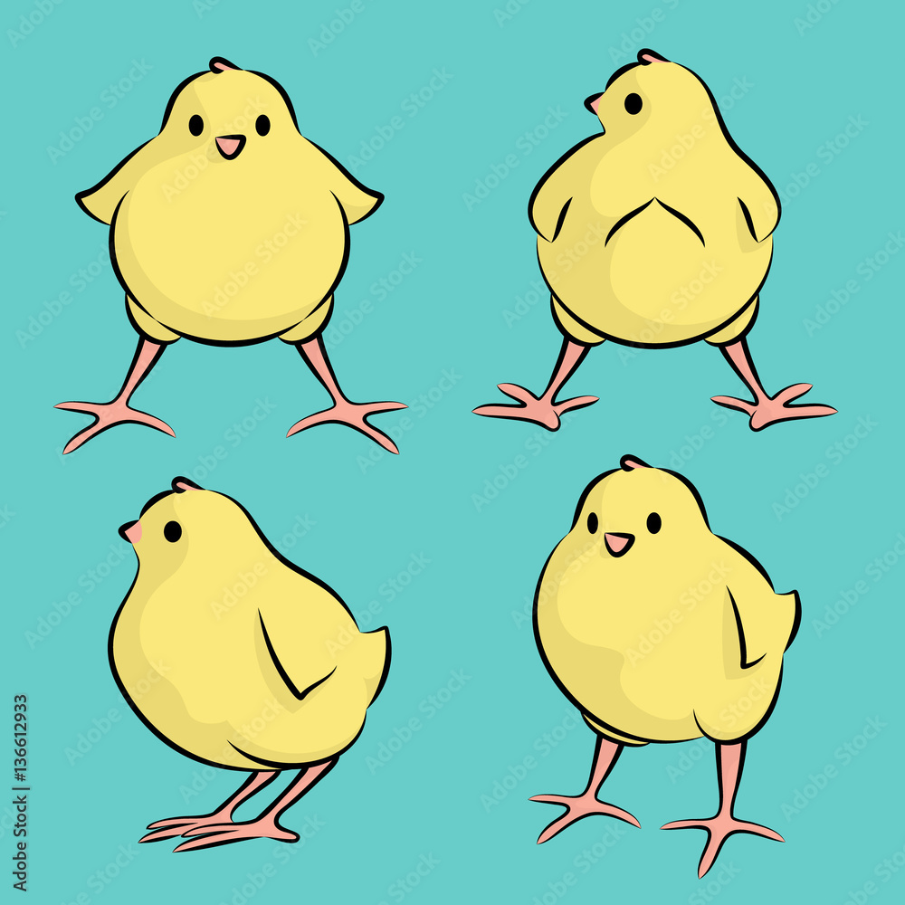 Vector Illustration Of A Baby Chicken From Four Angles Vector Illustration Of A Baby Chicken From Four Angles