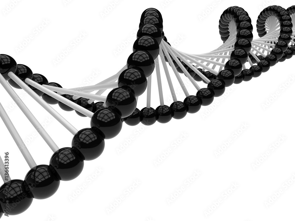 3D render black and white DNA strand Stock Illustration Adobe Stock