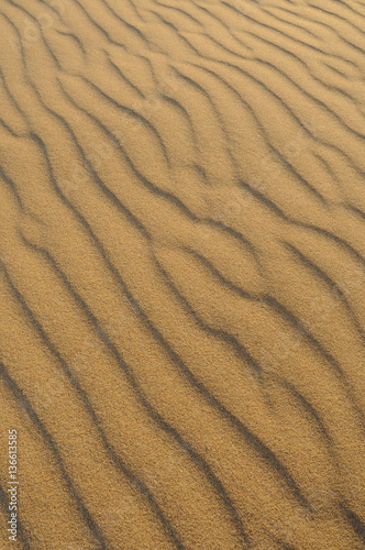 Winderosion in einer Sanddüne, Algarve, Portugal photo