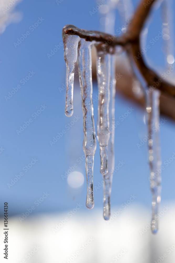 Icicle on a background of blue sky Icicle on a background of blue sky