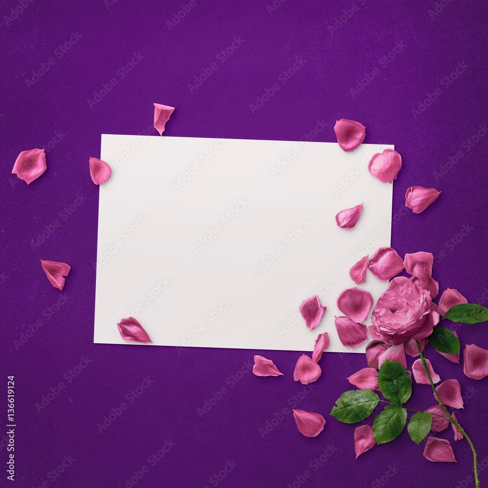 Floral Graphic Design. Frame with flowers and border. Fashion illustration on black and white background. Floral Graphic Design. Frame with flowers and border. Fashion illustration on black and white background.