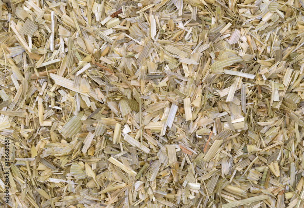 Close view of dried and shredded oatstraw herb.