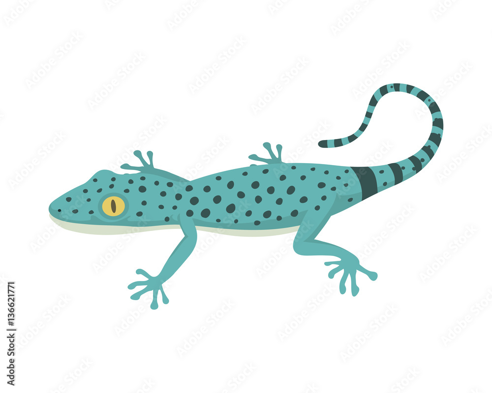 Obraz premium Blue lizard reptile isolated vector illustration.