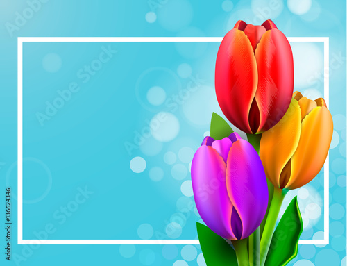 Greeting card with tulips.