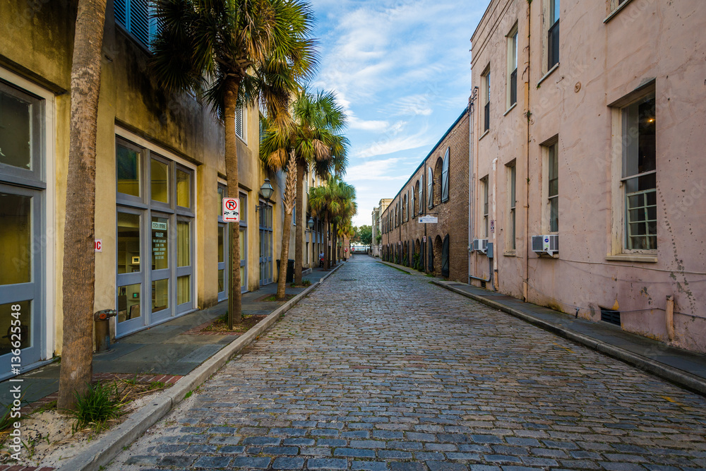 Cobblestone street in Charleston, South Carolina.