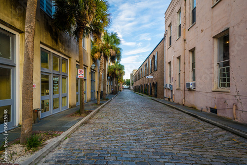 Fototapeta Naklejka Na Ścianę i Meble -  Cobblestone street in Charleston, South Carolina.