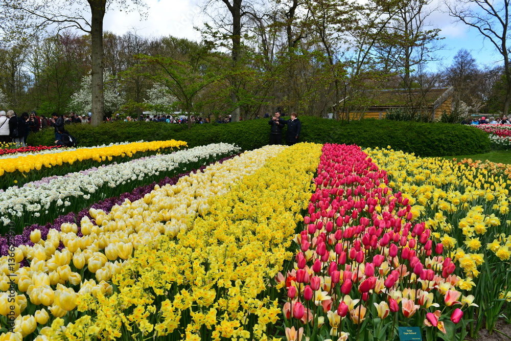 キューケンホフ公園