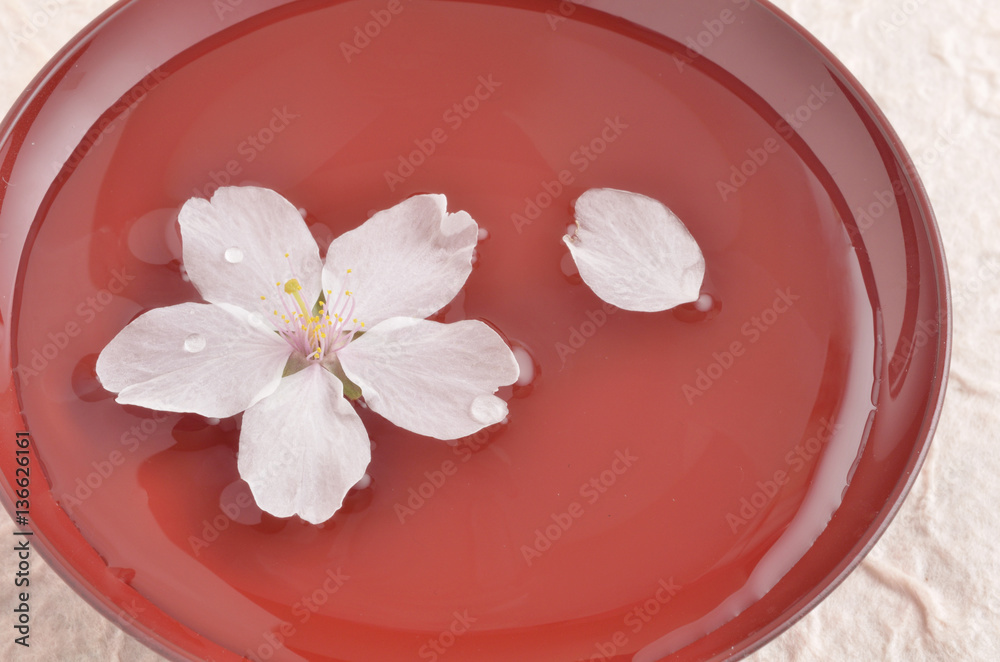 日本酒に浮かぶサクラの花びら 日本酒に浮かぶサクラの花びら
