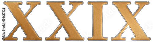 Roman numeral XXIX, novem et viginti, 29, twenty nine, isolated