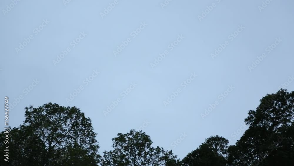 View of treetops forest in the nature-Dan View of treetops forest in the nature-Dan
