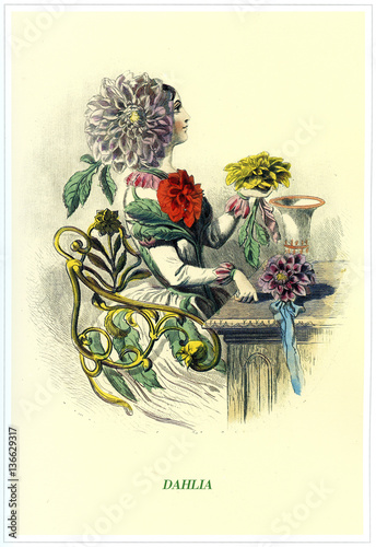Illustration / Les fleurs animées de Grandville / Dahlia photo