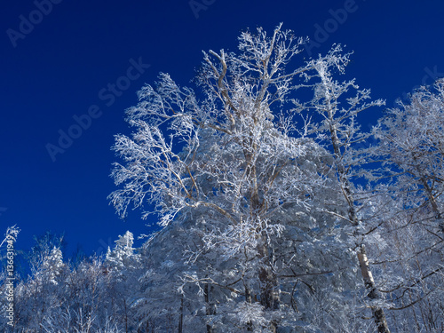 雪山