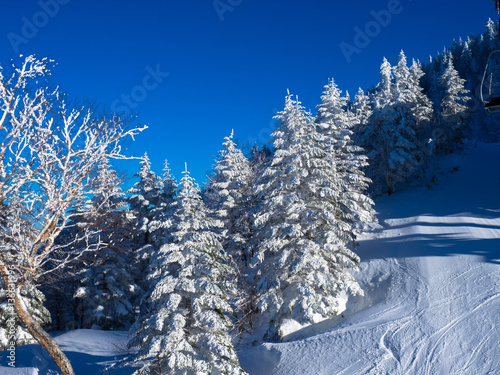 雪山と青空
