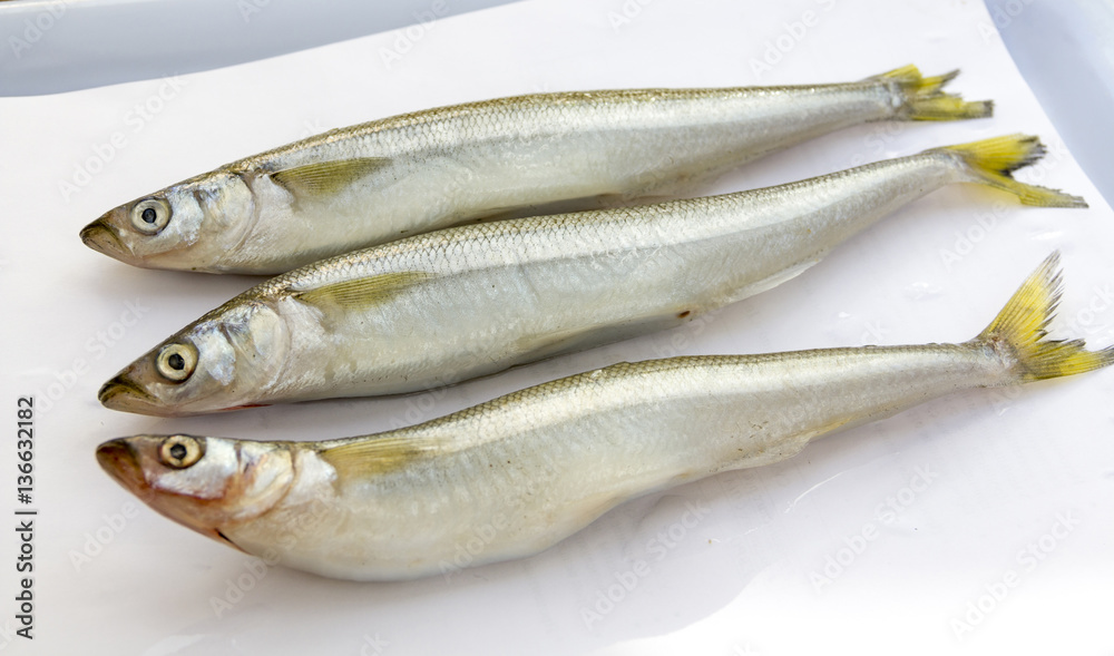 Raw fish smelt on a light background Raw fish smelt on a light background