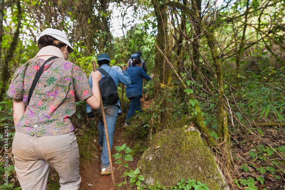 Obraz premium Traveller trekking on Doi Luang Chiang Dao Mountain. Chiang mai,