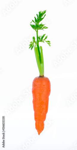 Baby carrot sticks isolated on white
