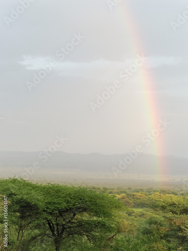 Rainbow over savanna plain at dawn. Serengeti National Park, Tanzania, Africa. 