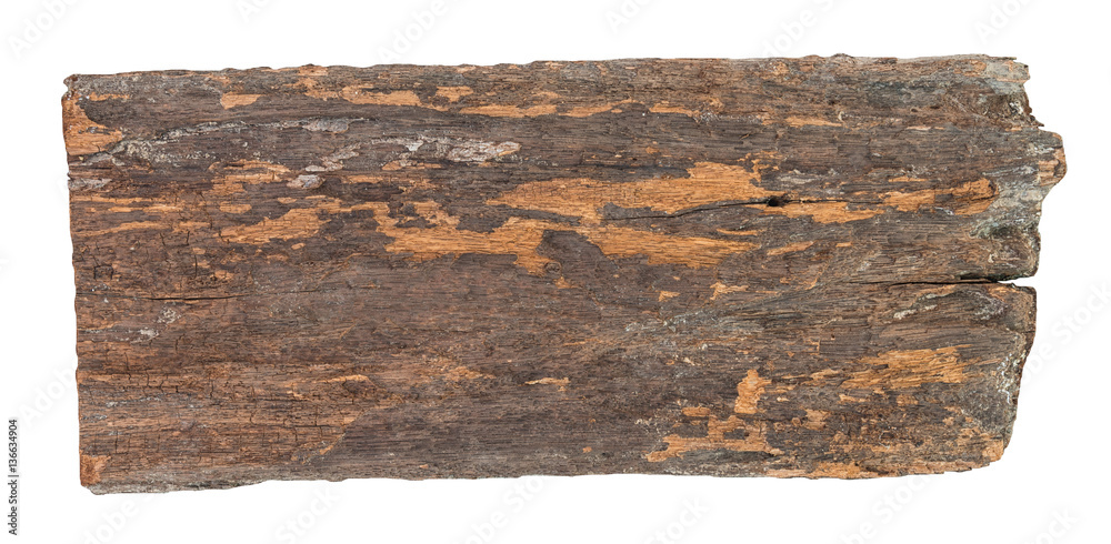 Fototapeta premium Old wood plank