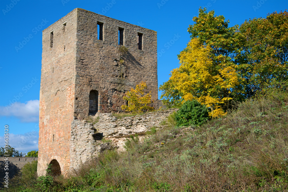Nabatnaya tower in autumn scenery. Ivangorod fortress, Russia