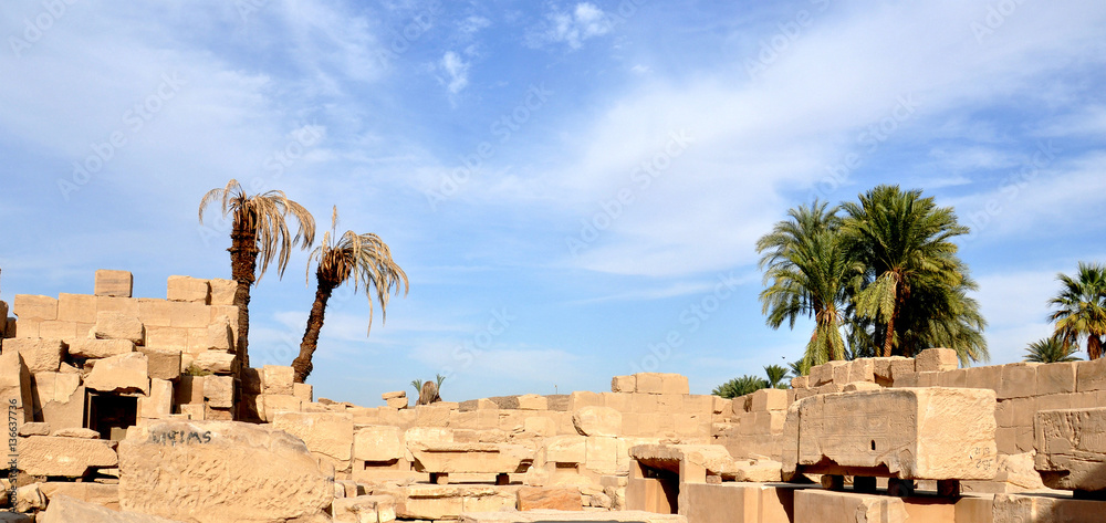 Stones and Palm trees ，karnak Temple