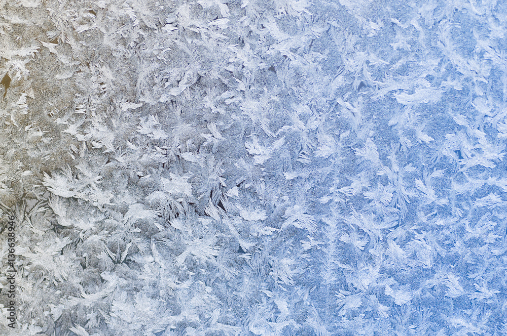 Frost patterns Frost patterns