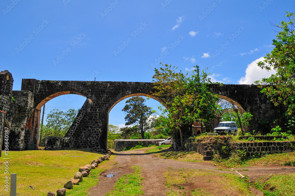 Fototapeta premium Caribbean, Island of St. Kitts