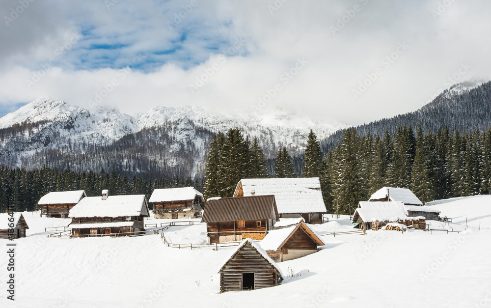 Alpine meadow during winter time in Slovenia