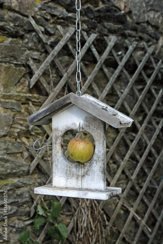 Mangeoire à oiseaux avec une pomme