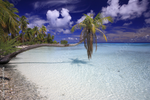 Atoll de l'archipel des Tuamotu photo