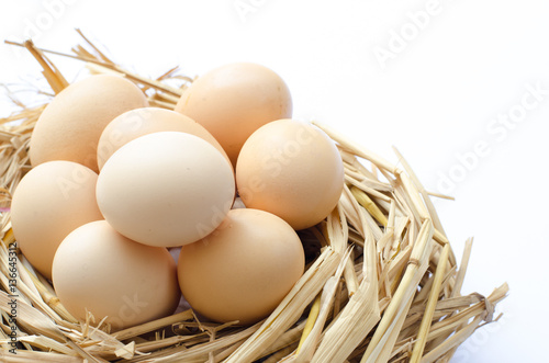 Eggs on straw nest