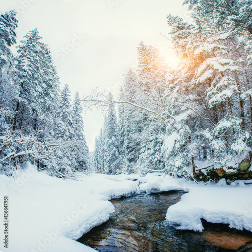 River in the forest in winter