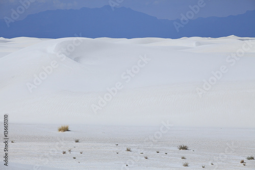 Dunes et d  sert de sable blanc  Nouveau Mexique   USA