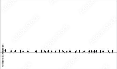 silhouettes of the birds sitting on a wire isolated vector image