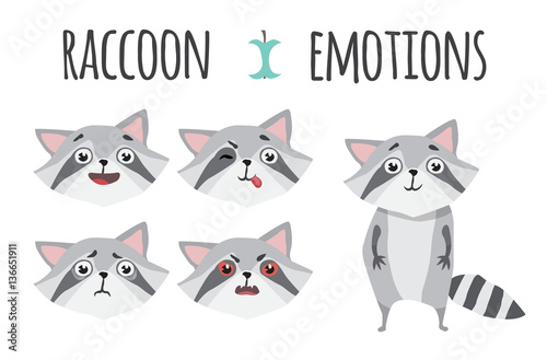 Cute raccoon. Set of emotions