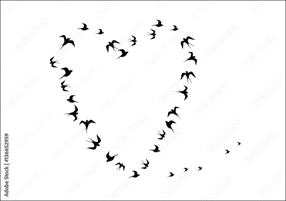 Fototapeta premium the heart shaped silhouettes of birds vector image