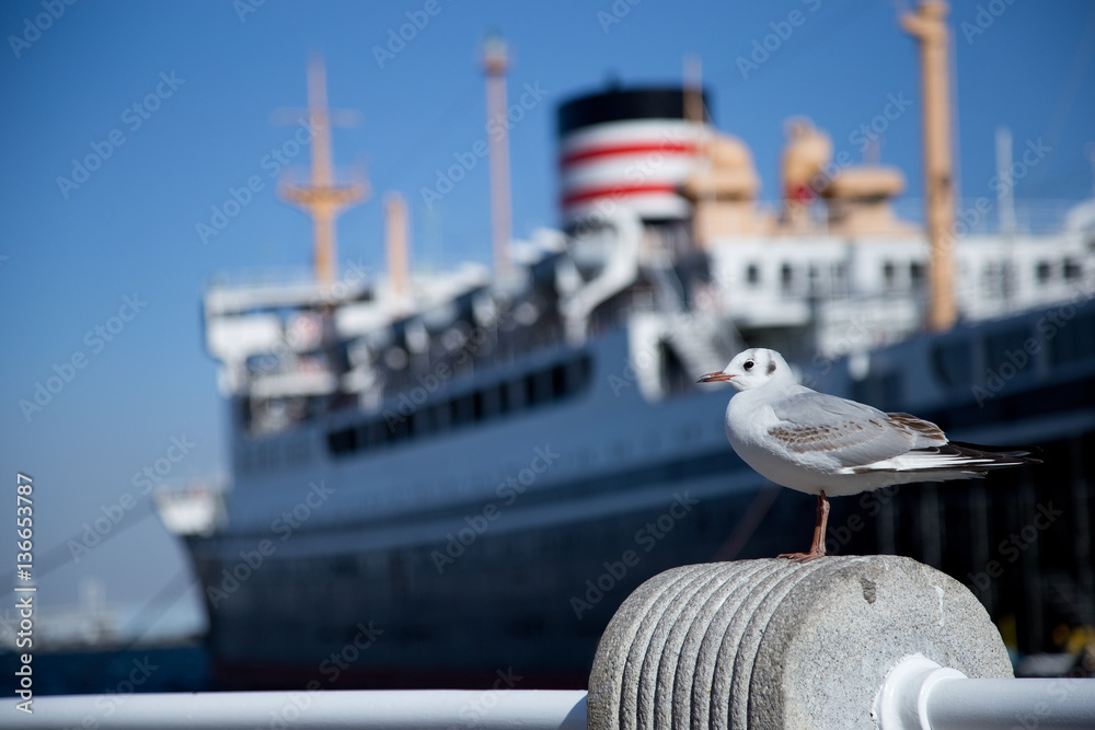 Naklejka premium 氷川丸とカモメ 横浜港
