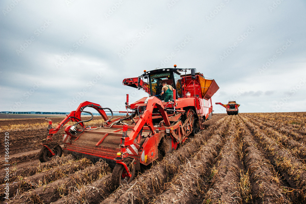 Obraz premium Tractor plowing up the field.