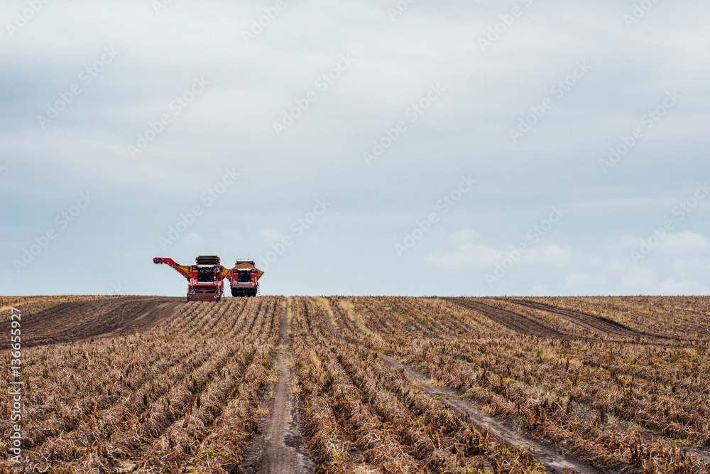 Fototapeta premium tractors working in the field