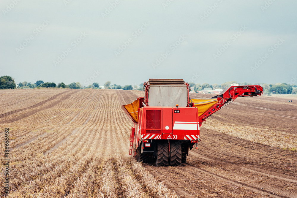 Fototapeta premium tractors working in the field