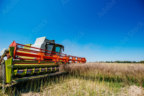 Working Harvesting Combine in the Field of Wheat photo