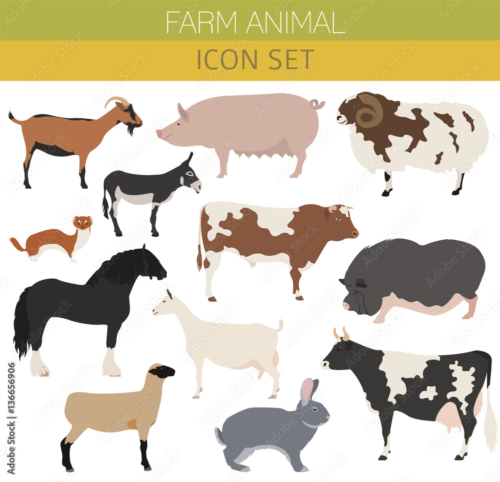 Animal farming, livestock. Cattle, pig, goat, ship, horse, donke